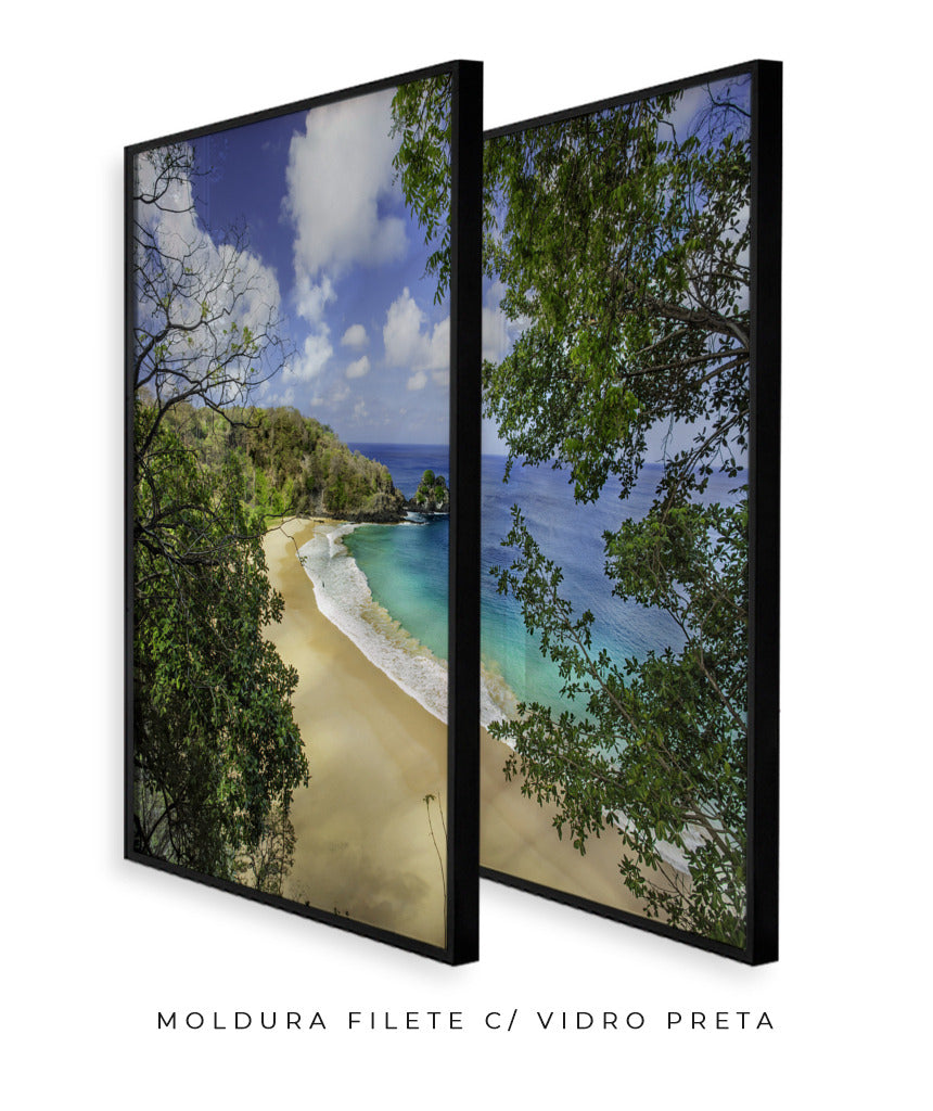 Quadro Decorativo Praia e mar,galhos verdes - Dupla
