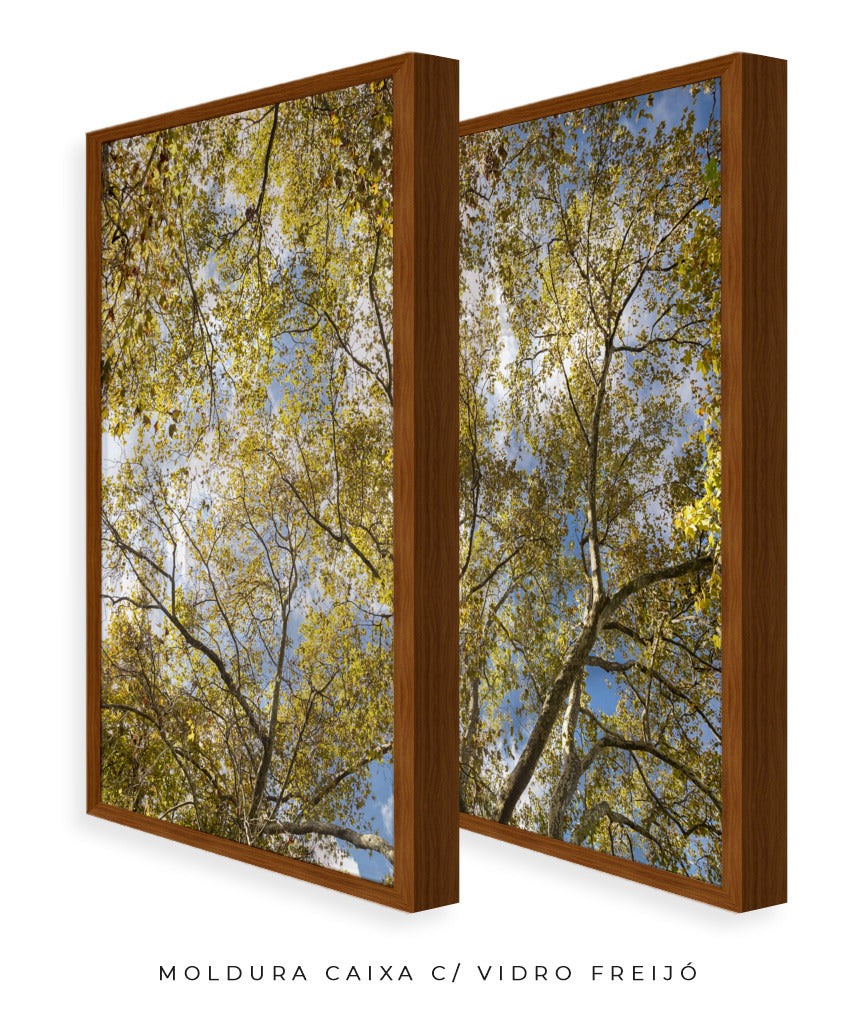 Quadro Decorativo Galhos e Árvores - Dupla