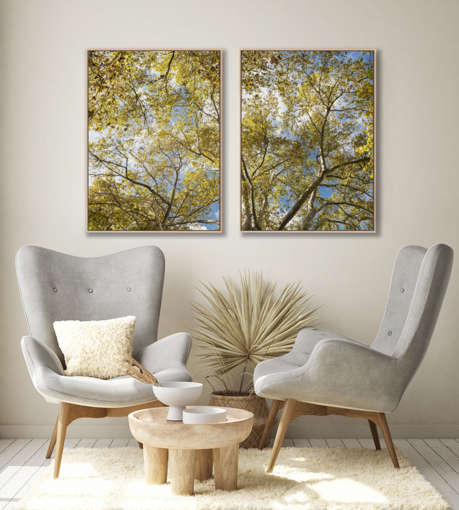 Quadro Decorativo Galhos e Árvores - Dupla
