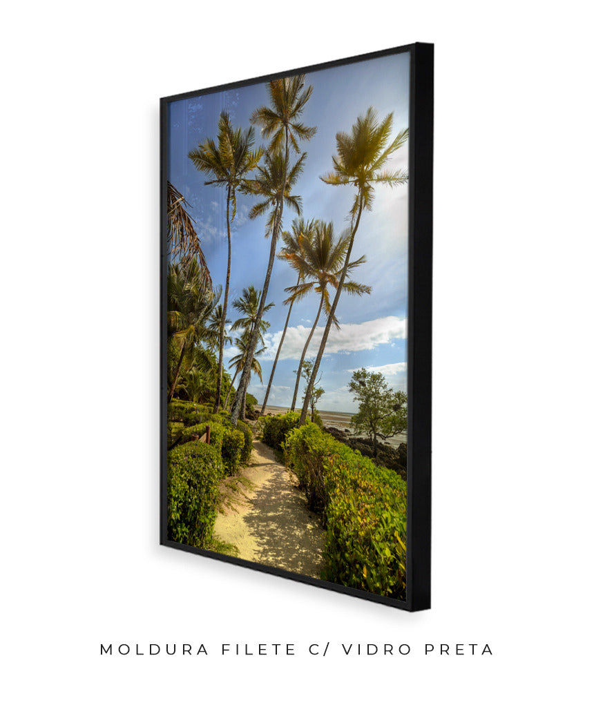 Quadro Decorativo Portais - Coqueiros