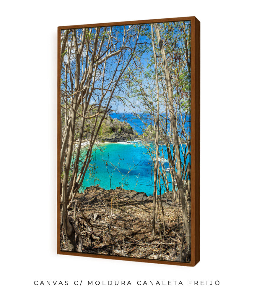 Quadro Decorativo Portais Praia