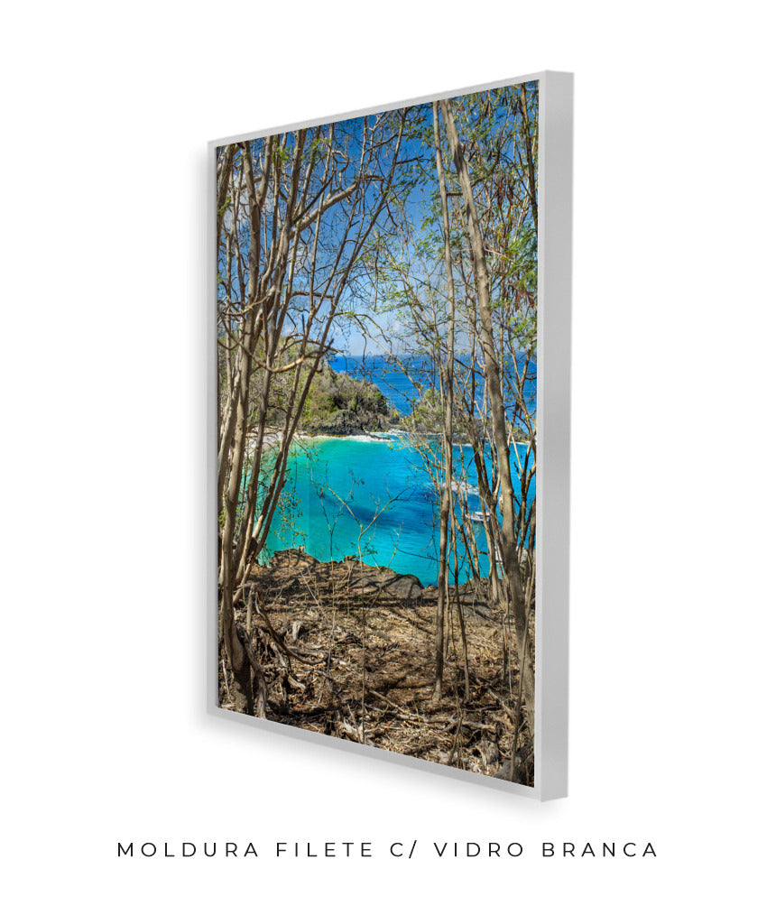 Quadro Decorativo Portais Praia