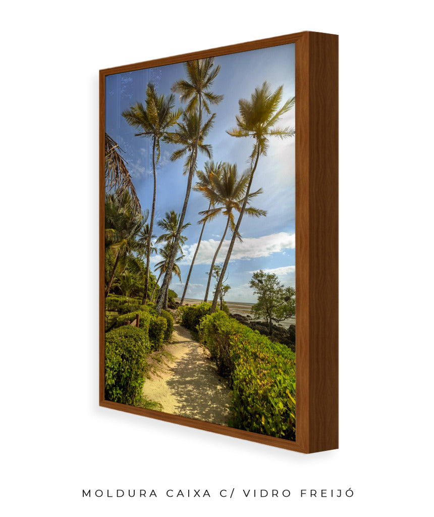 Quadro Decorativo Portais - Coqueiros