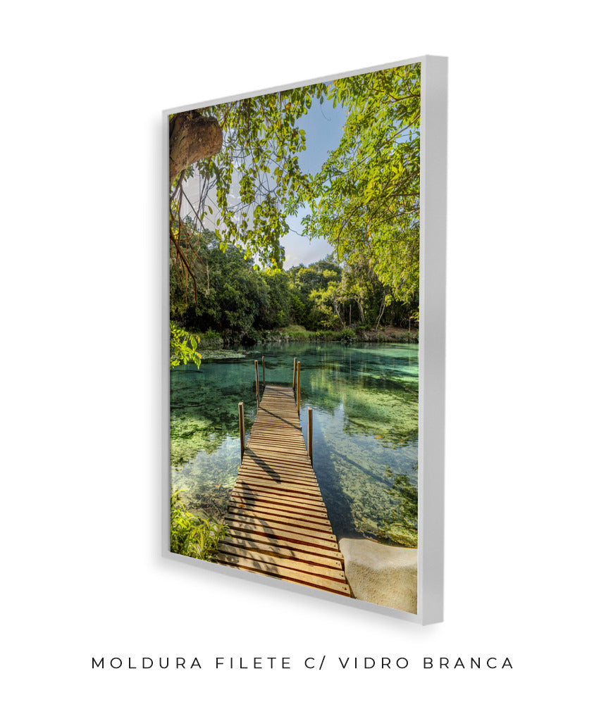 Quadro Decorativo Chapada Diamantina - Ponte para Paraíso-Vertical