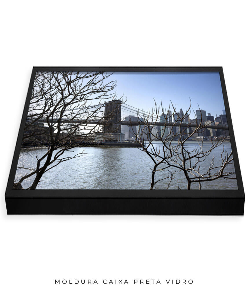 Quadro Decorativo Lago de Nova York