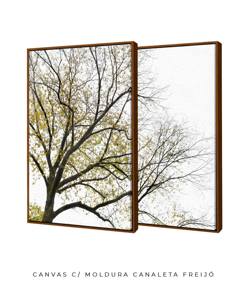 Quadro Decorativo Galhos Secos -Dupla
