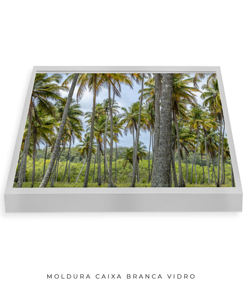 Quadro Decorativo Coqueiros Sépia - Horizontal