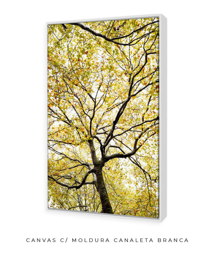 Quadro Decorativo Árvores e Galhos - Folhas verdes Vertical