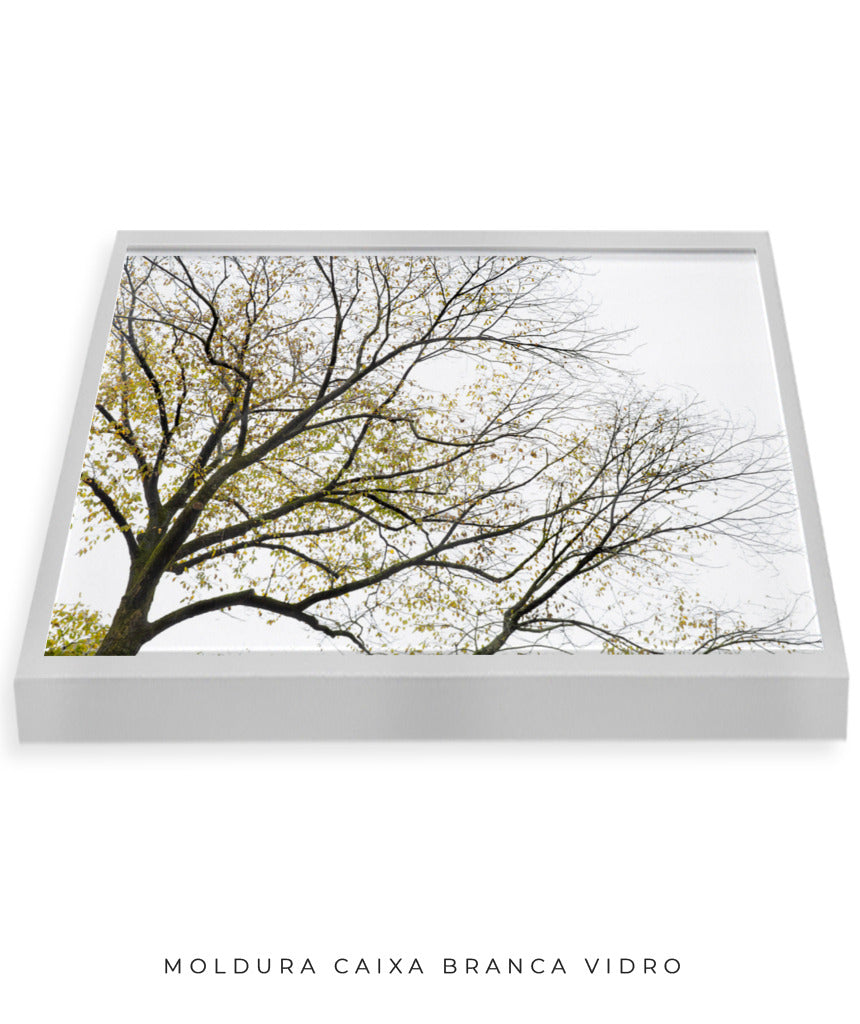 Quadro Decorativo Galhos Secos - Horizontal