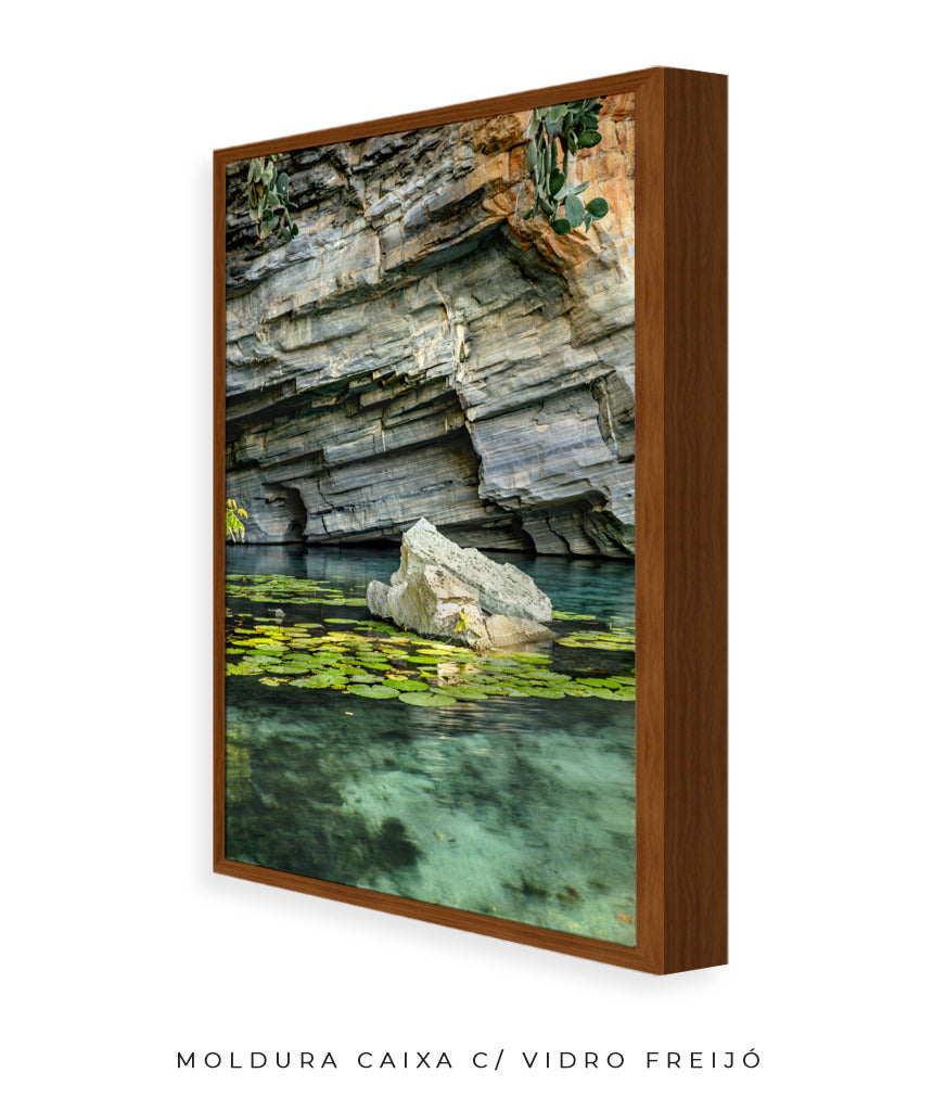 Quadro Decorativo Chapada Diamantina -Vitória Régia- Vertical