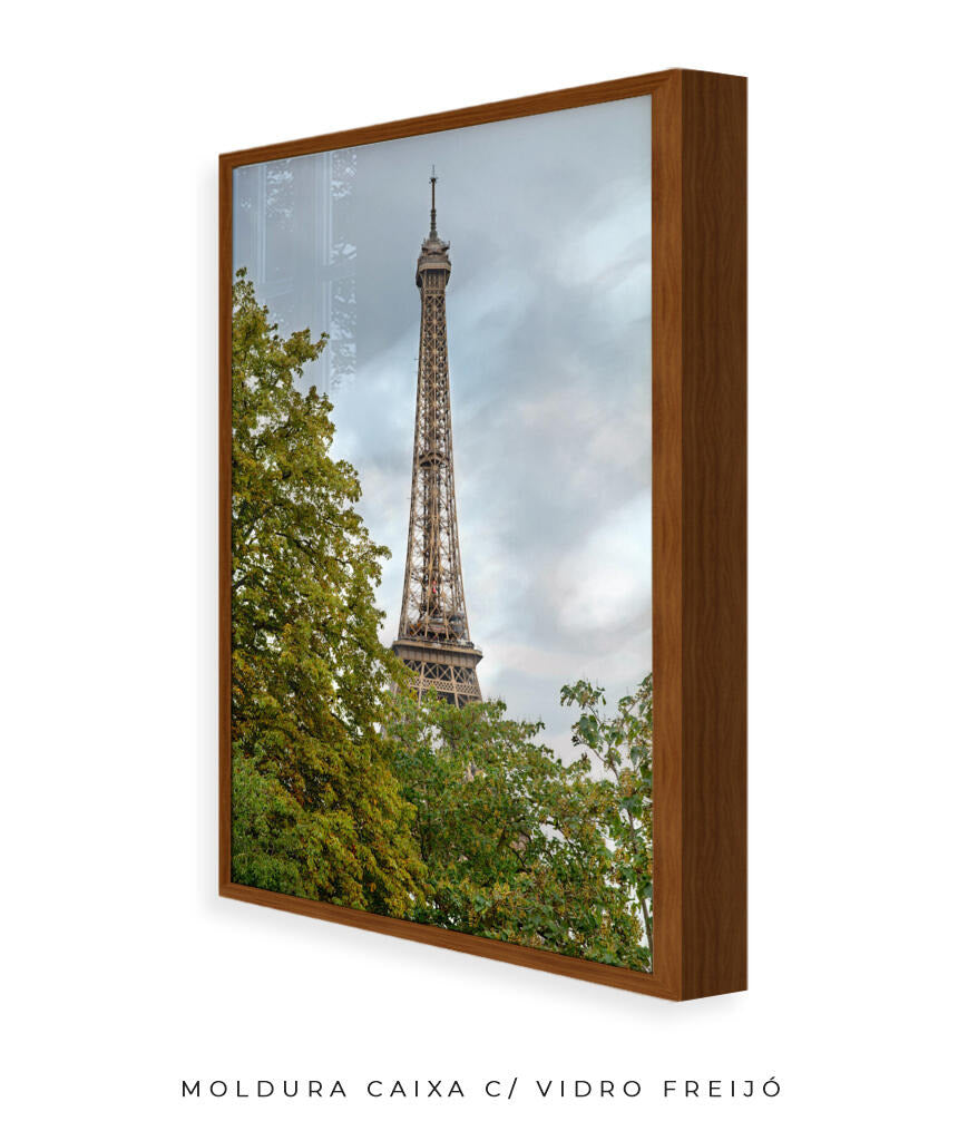 Quadro Decorativo Europa - Torre França