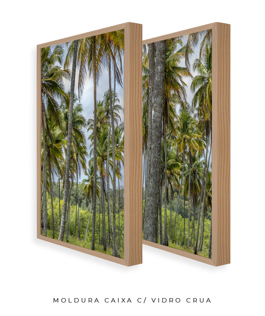 Quadro Decorativo Coqueiros Sépia -Dupla