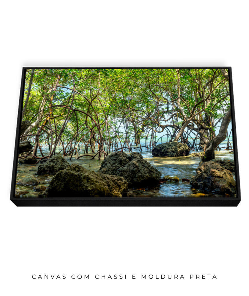 Quadro Decorativo Árvores e Galhos - Pedras e árvores