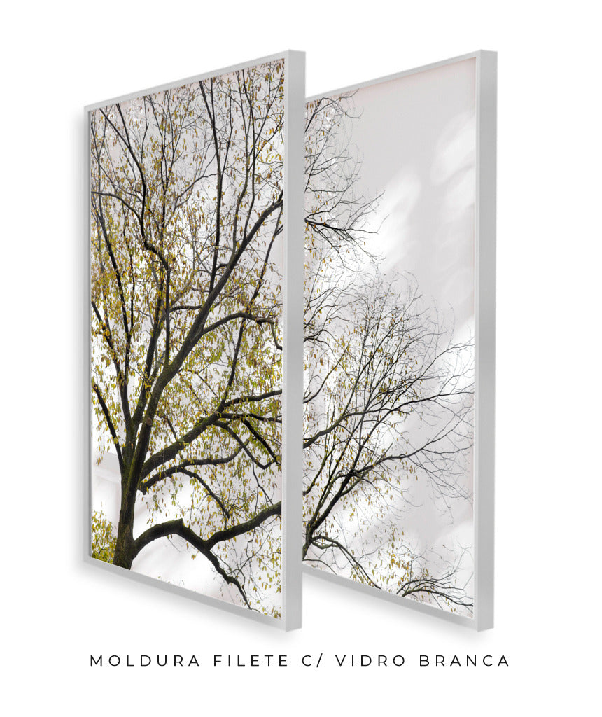 Quadro Decorativo Galhos Secos -Dupla