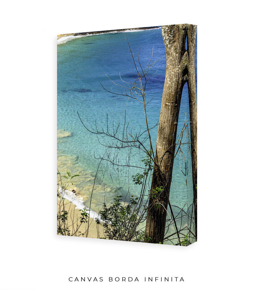 Quadro Decorativo Noronha - Mar Vertical