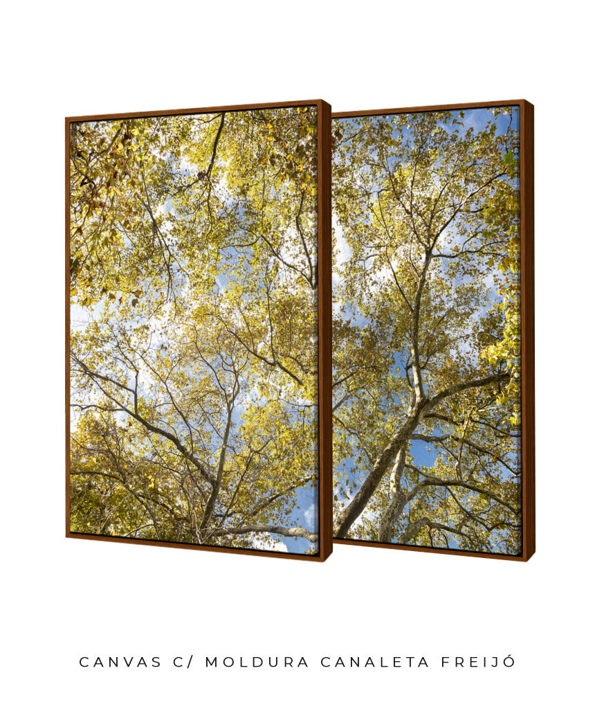 Quadro Decorativo Galhos e Árvores - Dupla