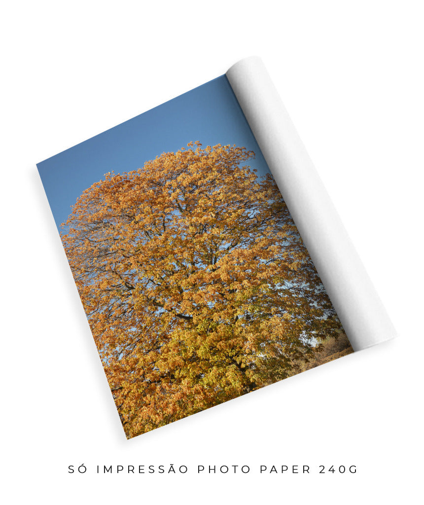 Quadro Decorativo Árvore Amarela