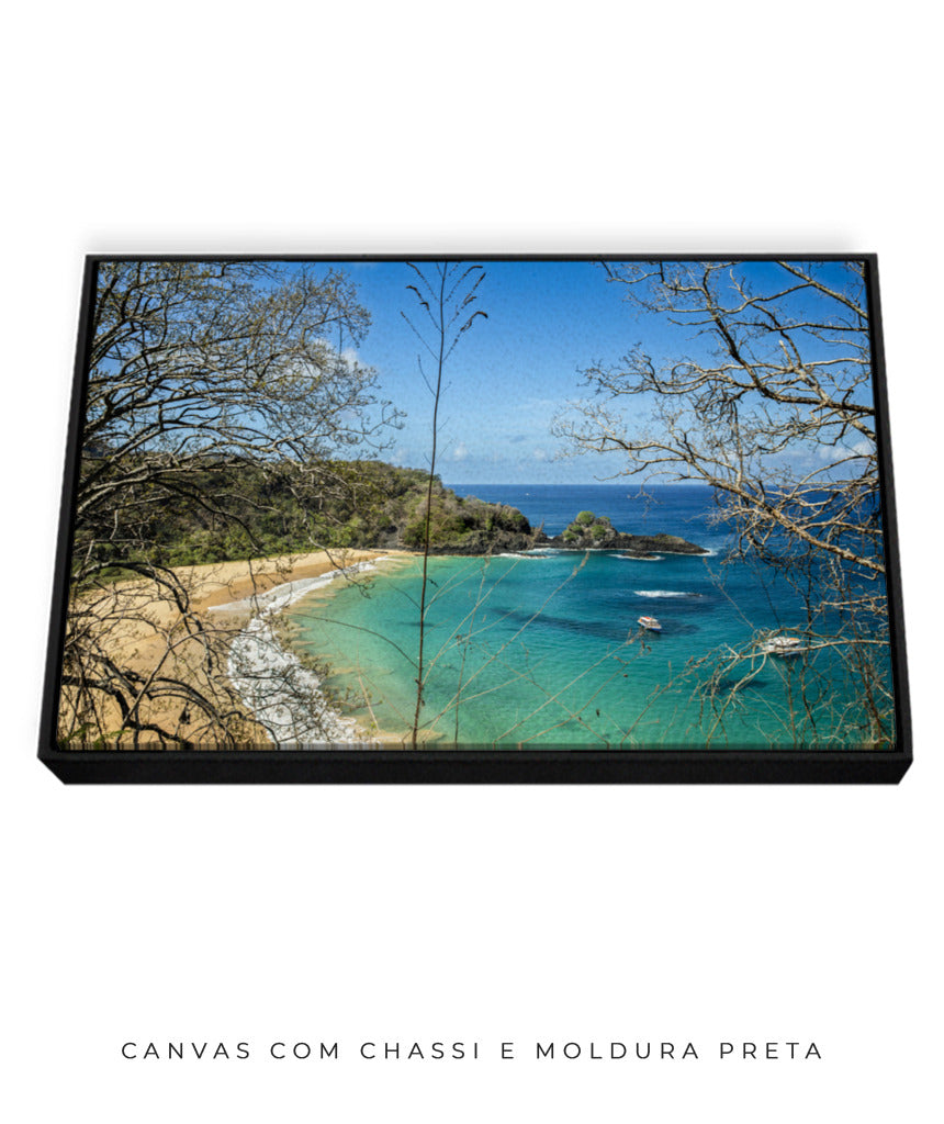 Quadro Decorativo Noronha - Praia, Mar e Galhos Secos - Horizontal