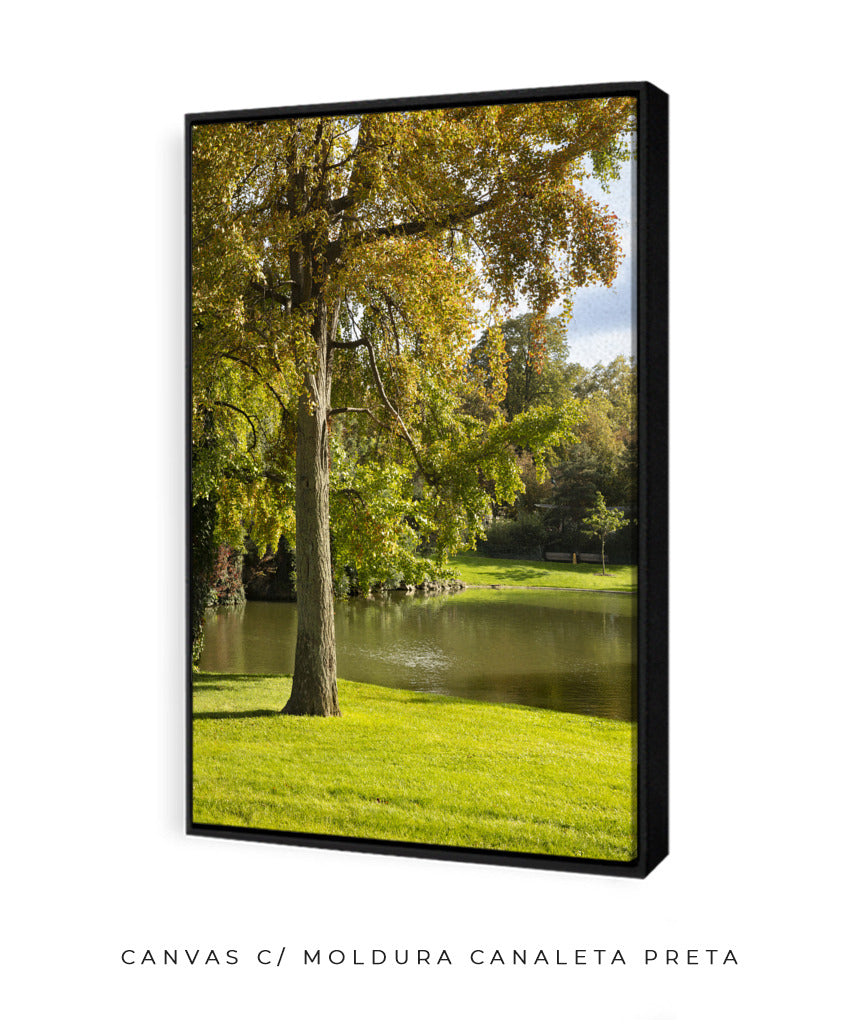 Quadro Decorativo Portais Natureza