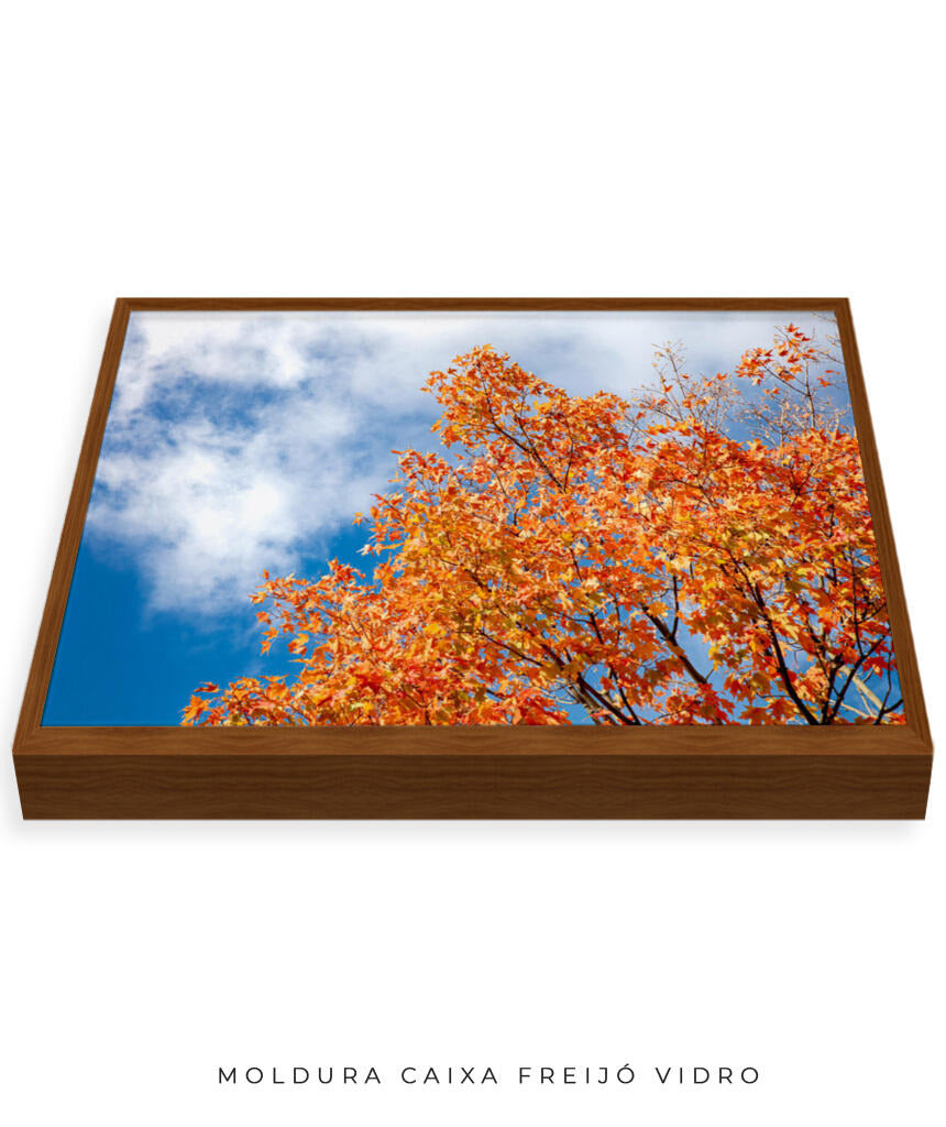 Quadro Decorativo Árvores e Galhos - Folhas laranjas