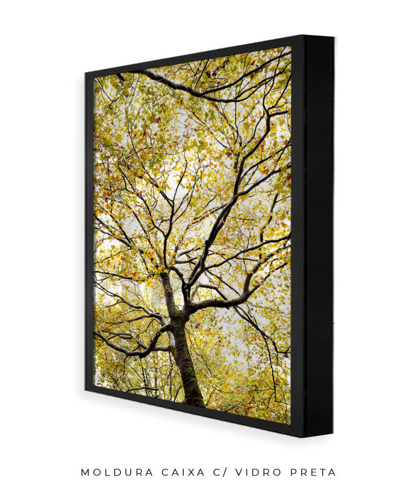 Quadro Decorativo Árvores e Galhos - Folhas verdes Vertical