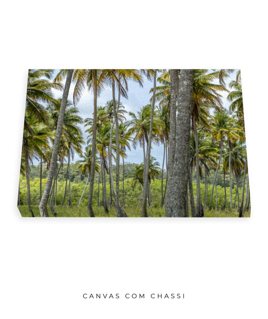 Quadro Decorativo Coqueiros Sépia - Horizontal