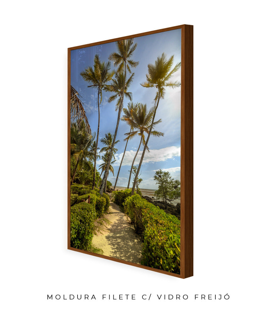 Quadro Decorativo Portais - Coqueiros
