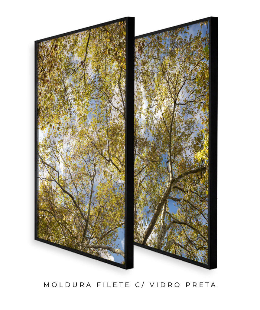 Quadro Decorativo Galhos e Árvores - Dupla