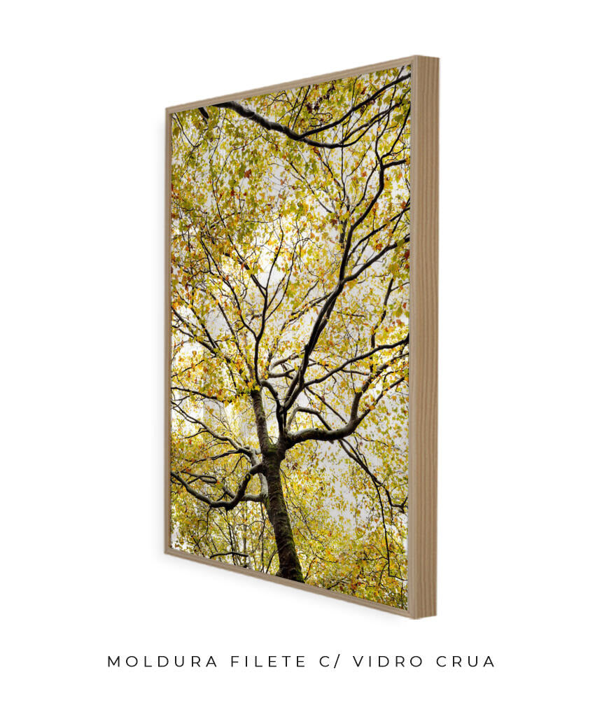 Quadro Decorativo Árvores e Galhos - Folhas verdes Vertical