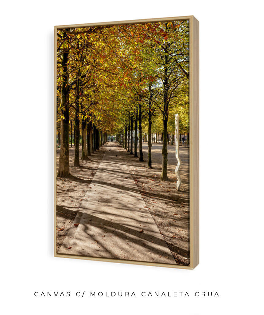 Quadro Decorativo Árvores e Galhos - Espaço para caminhada