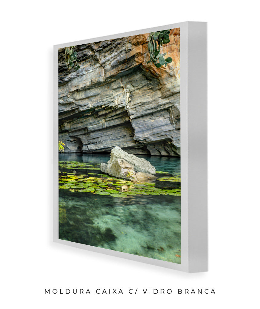 Quadro Decorativo Chapada Diamantina -Vitória Régia- Vertical