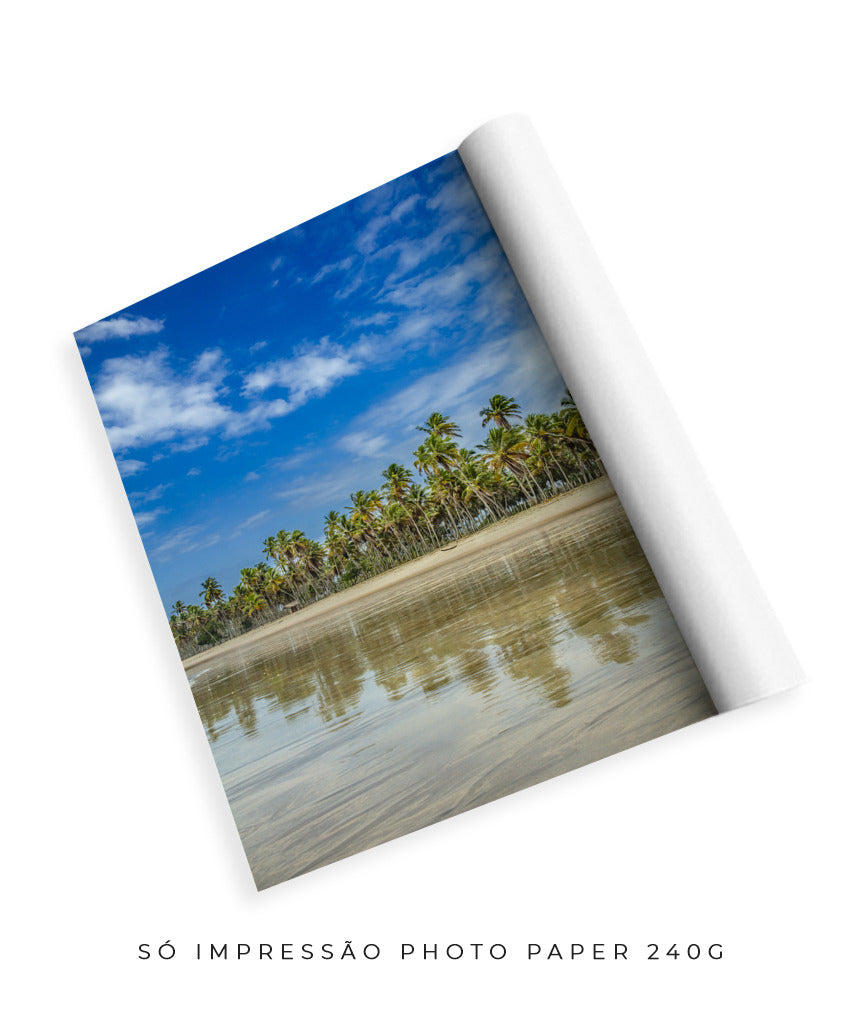 Quadro Decorativo Praia, Mar e Coqueiral