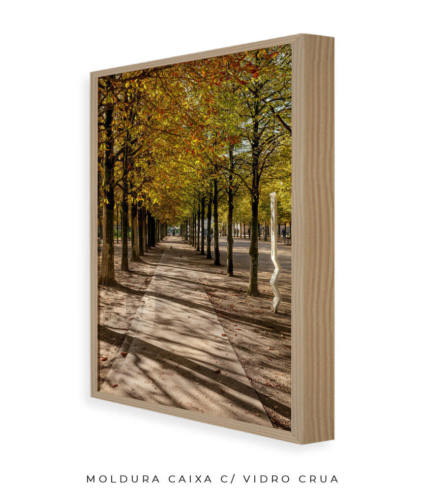 Quadro Decorativo Árvores e Galhos - Espaço para caminhada