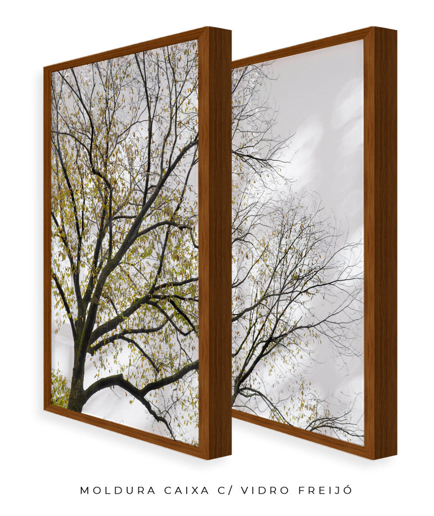 Quadro Decorativo Galhos Secos -Dupla
