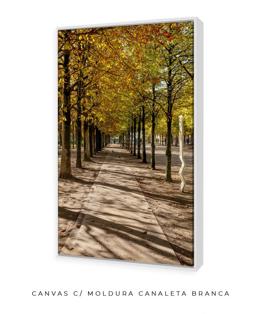 Quadro Decorativo Árvores e Galhos - Espaço para caminhada