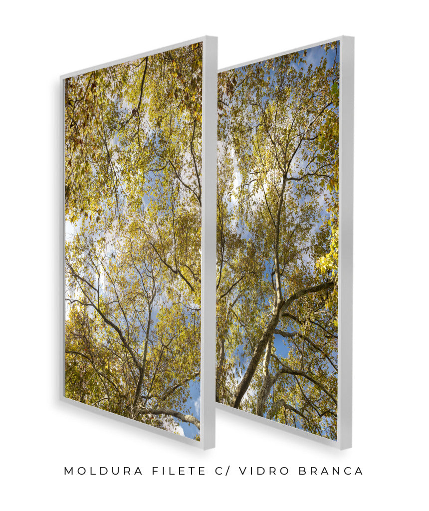 Quadro Decorativo Galhos e Árvores - Dupla