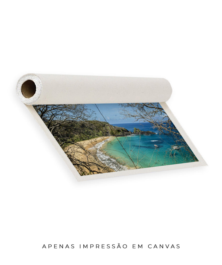 Quadro Decorativo Noronha - Praia, Mar e Galhos Secos - Horizontal