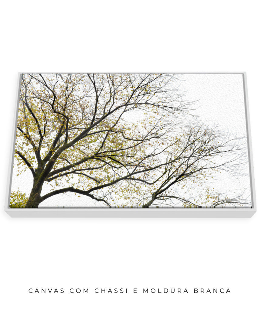 Quadro Decorativo Galhos Secos - Horizontal
