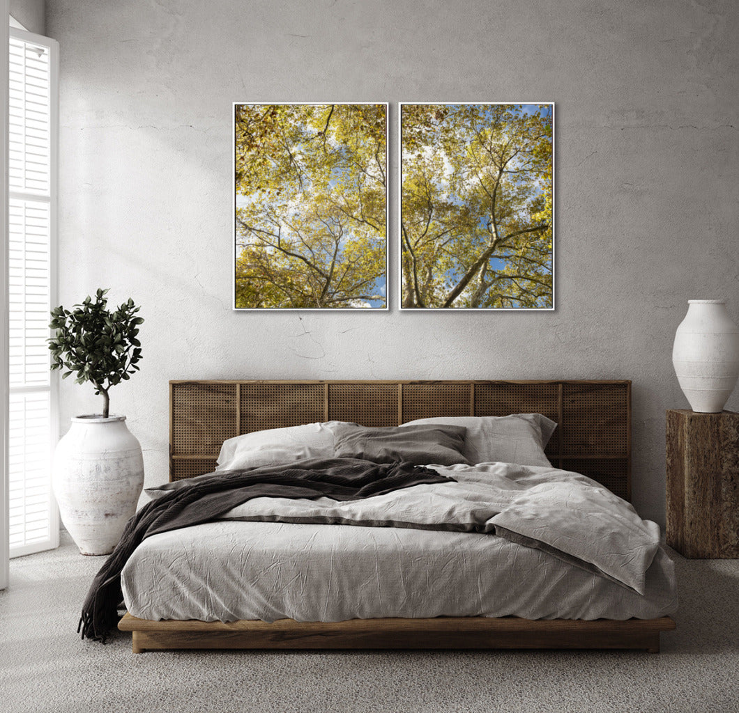 Quadro Decorativo Galhos e Árvores - Dupla