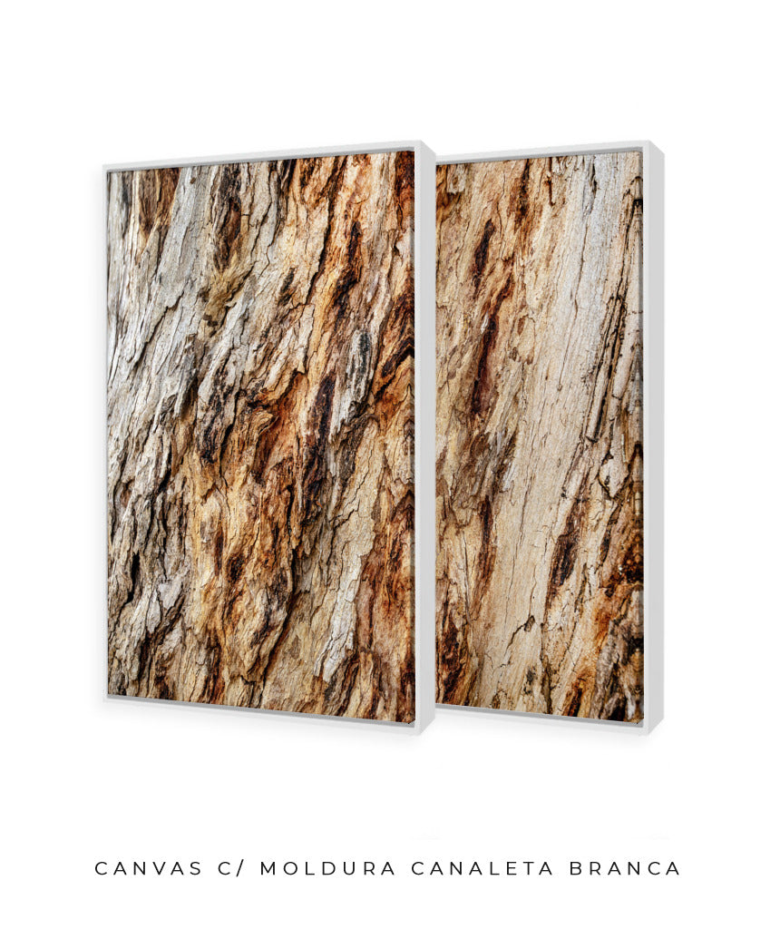 Quadro Decorativo Texturas - Madeira - Dupla
