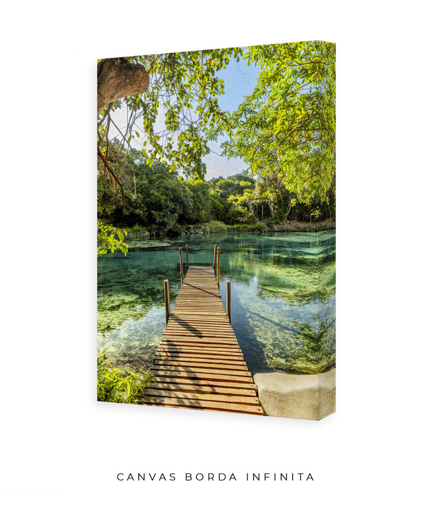 Quadro Decorativo Chapada Diamantina - Ponte para Paraíso-Vertical