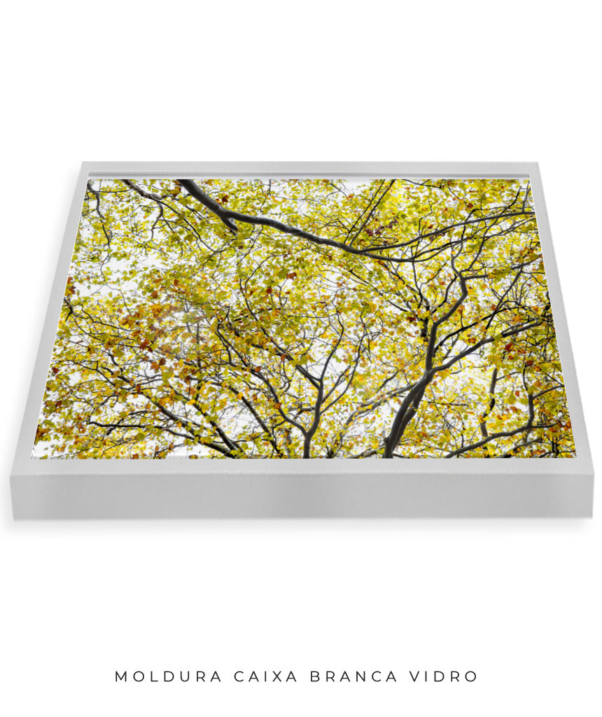 Quadro Decorativo Árvore com Galhos Verdes - Horizontal