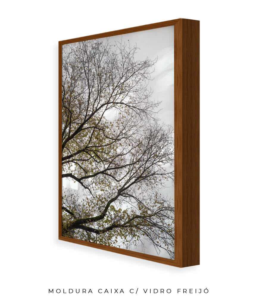 Quadro Decorativo Árvores e Galhos - Folhas secas Vertical