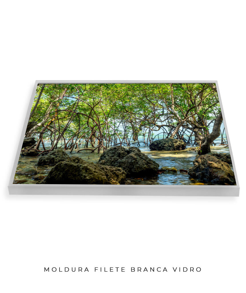 Quadro Decorativo Árvores e Galhos - Pedras e árvores