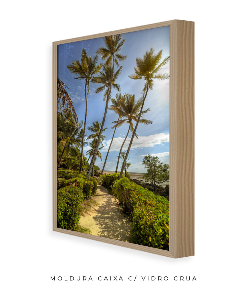 Quadro Decorativo Portais - Coqueiros