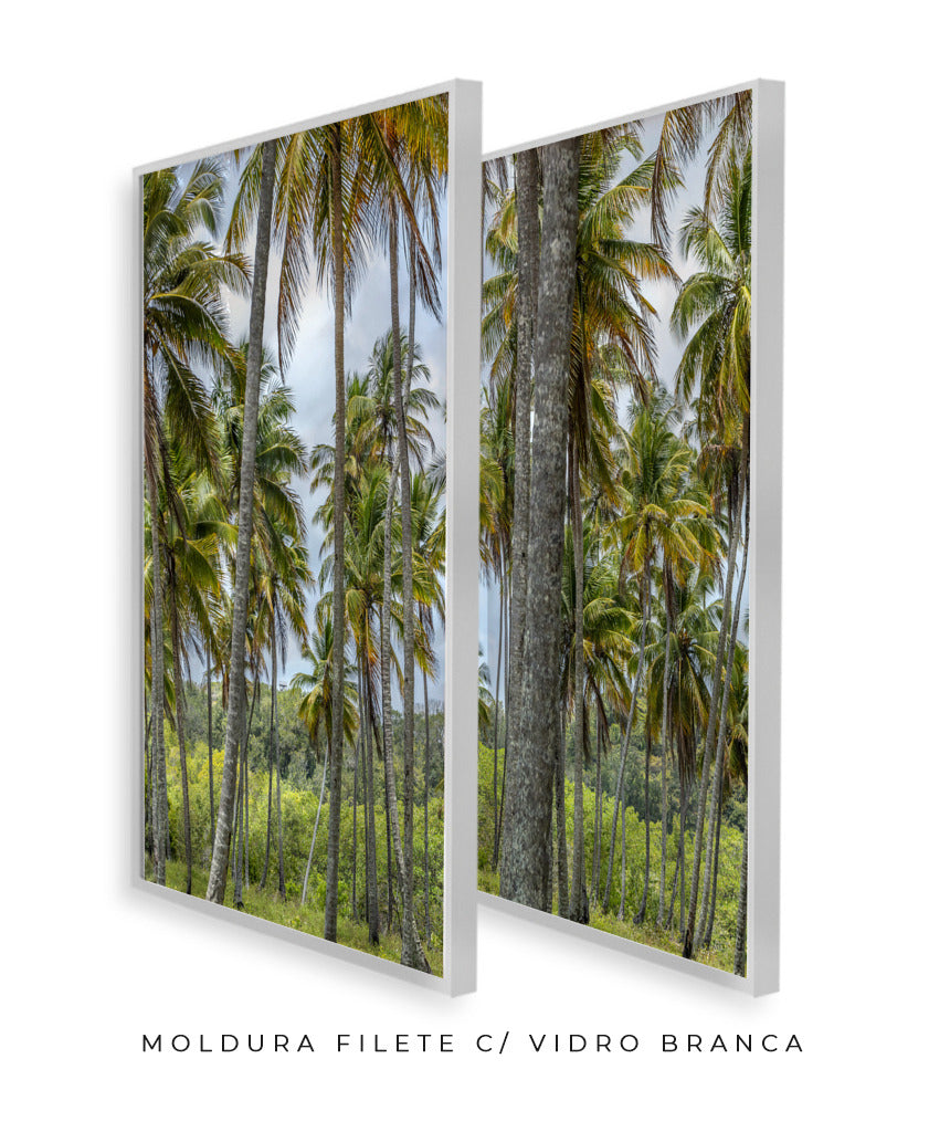 Quadro Decorativo Coqueiros Sépia -Dupla