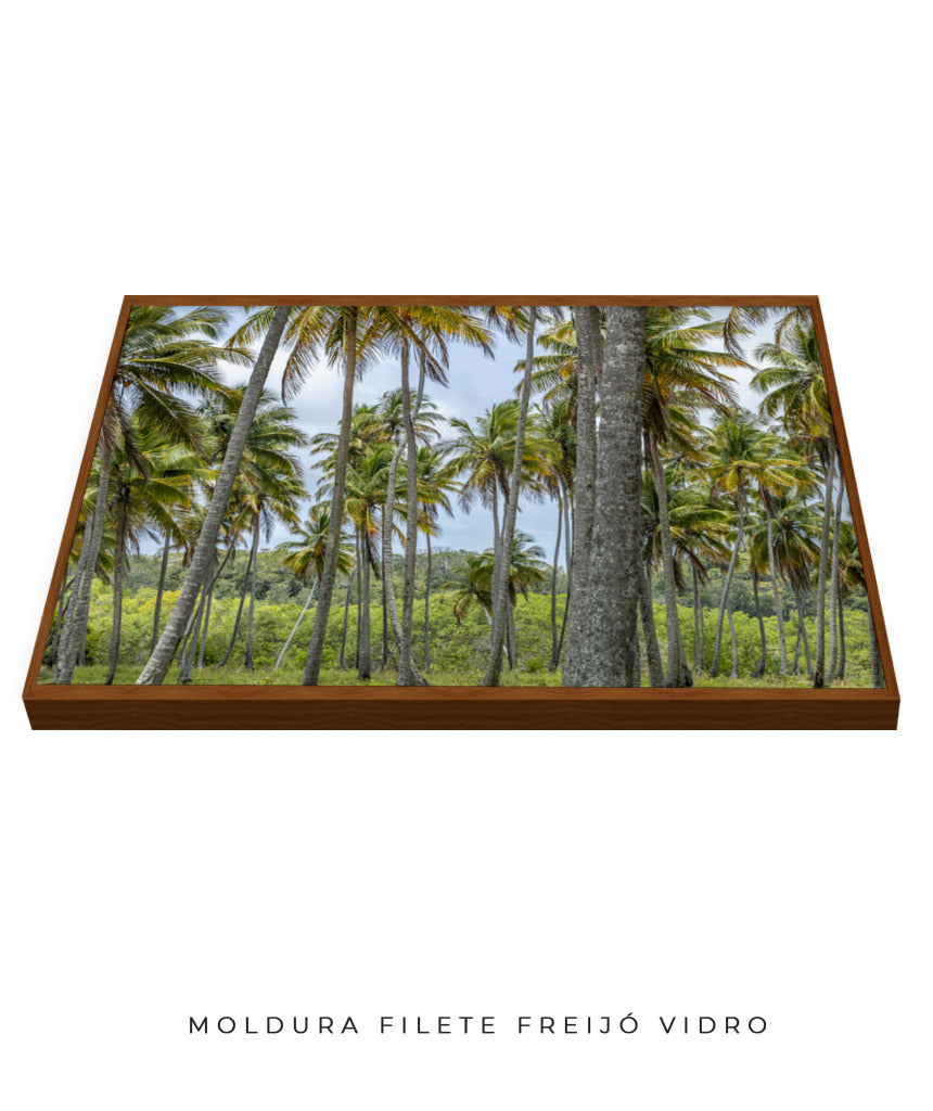 Quadro Decorativo Coqueiros Sépia - Horizontal