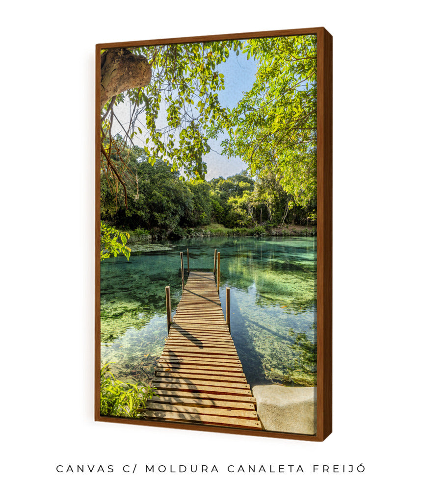 Quadro Decorativo Chapada Diamantina - Ponte para Paraíso-Vertical
