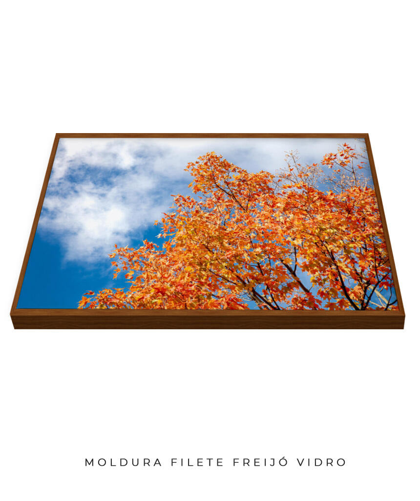 Quadro Decorativo Árvores e Galhos - Folhas laranjas
