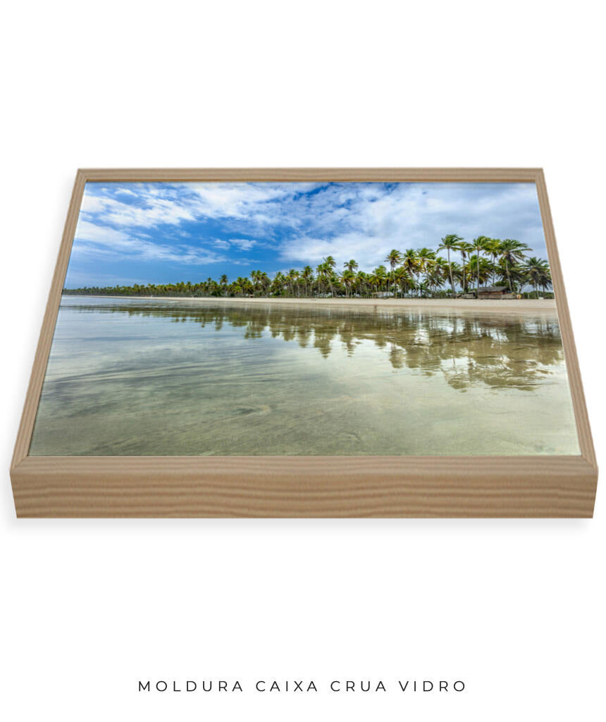 Quadro Decorativo Coqueiral na Beira da Praia